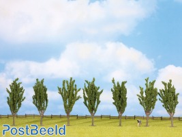 Poplars (7pcs) ~ 12cm