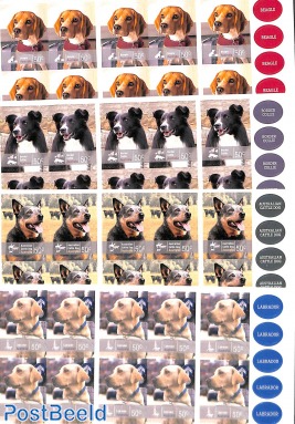 Dogs 5 booklets s-a
