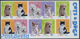Cats & dogs booklet