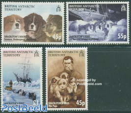 Shackletons dogs 4v
