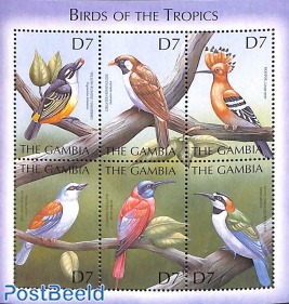 Tropical birds 6v m/s, Pogoniulus billineatus