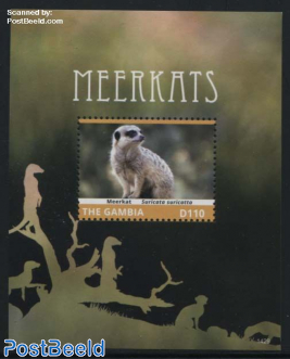 Meerkat s/s
