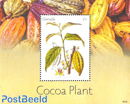 Cocoa plant s/s