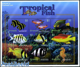 Tropical fish 9v m/s