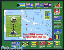 ICC Cricket world cup s/s