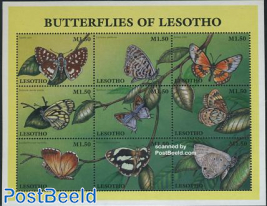 Butterflies 9v m/s
