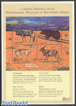 Stamp show, animals 4v m/s