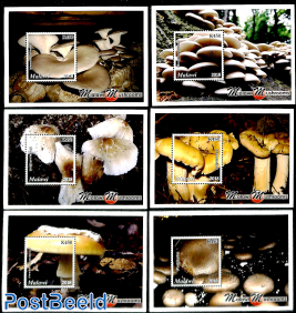 Mushrooms 6 s/s