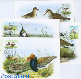 Birds 4 maximum cards summer committee