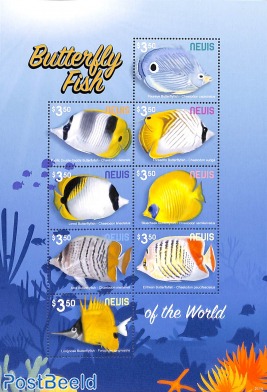 Butterfly fish 8v m/s