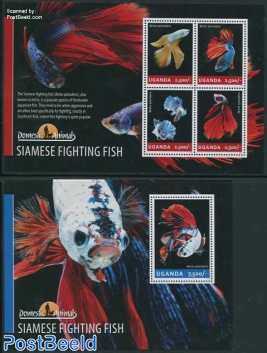 Siamese fighting fish 2 s/s