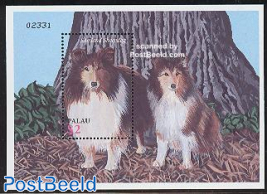 Dogs s/s, Shetland sheepdog