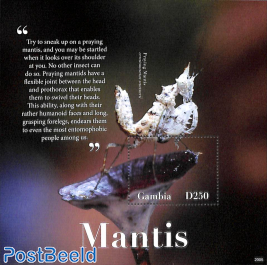 Mantis s/s