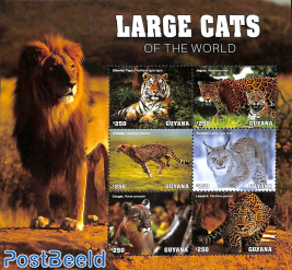 Large cats of the world 6v m/s