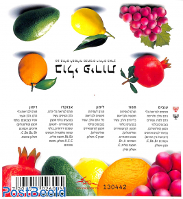 Fruits booklet with 2 Menorah's on cover