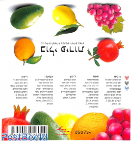 Fruits booklet with 3 Menorah's on cover