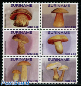 Mushrooms 6v [++]