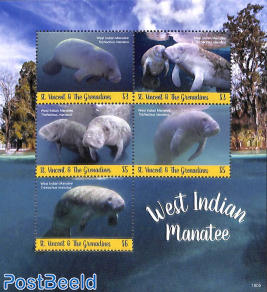 West Indian Manatee 5v m/s