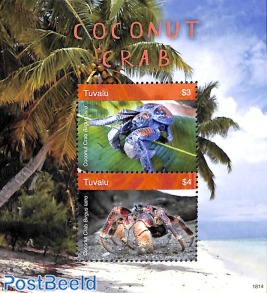 Coconut crab 2v m/s