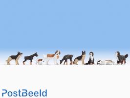 Dogs