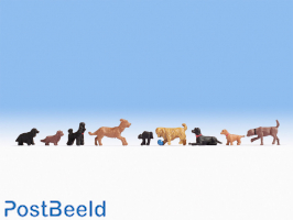 Dogs