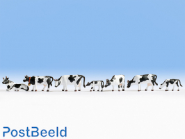 Cows - Black/White