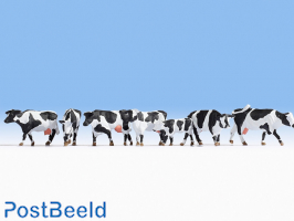 Cows - Black/White