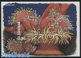 Sea anemones s/s