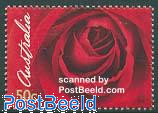 Rose 1v