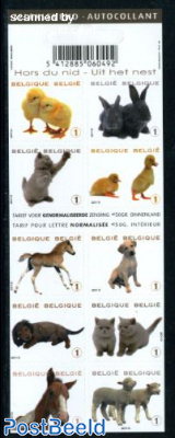 Young animals 10v in foil booklet