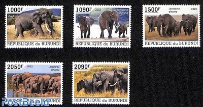 Elephants, 5v