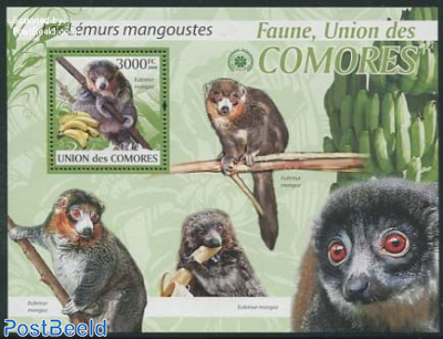 Lemurs s/s