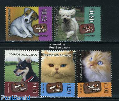 Cats & dogs 5v