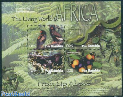 The living world of Africa 4v m/s, Bateleur Eagle