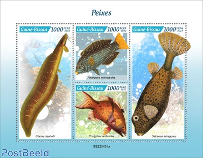 fishes