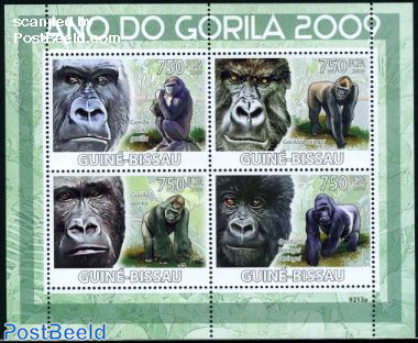 Gorillas 4v m/s