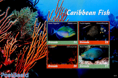 Caribbean Fish 4v m/s