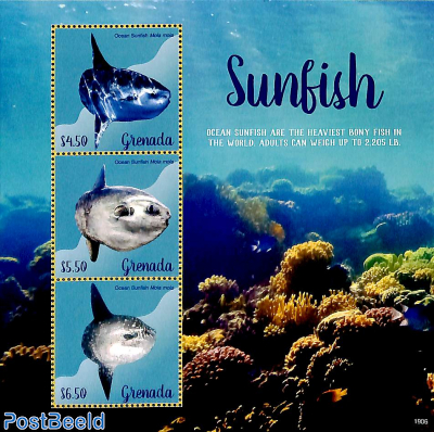 Sunfish 3v m/s