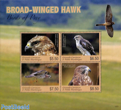 Broad-Winged Hawk 4v m/s