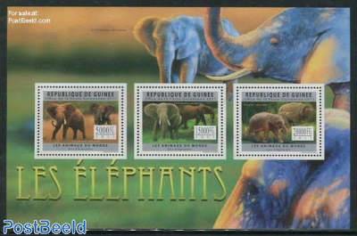 Elephants 3v m/s