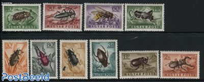 Insects 10v