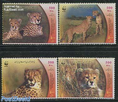 WWF, Cheetah 4v