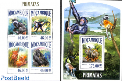 Primates 2 s/s