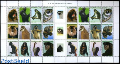 Primates, monkeys 2x12v m/s