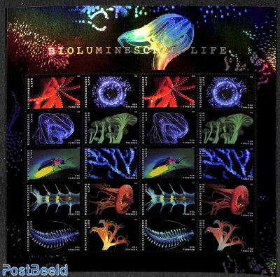 Bioluminescent life m/s (with 2 sets)