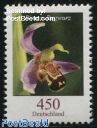 Definitive, Orchid 1v